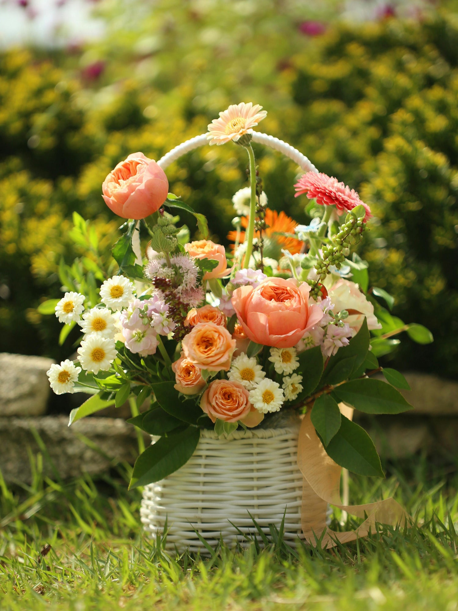 The Blooming